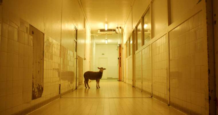 Film Exposure_Gorge Coeur Ventre