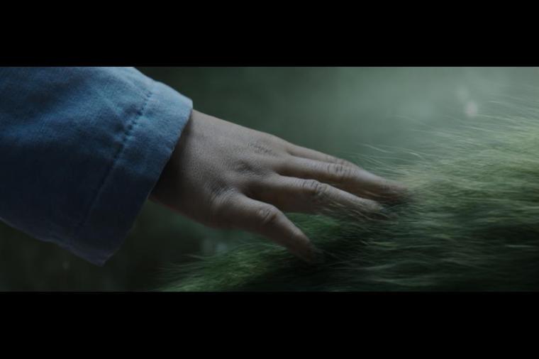 MV5BMjM4NDQ4ODU1OF5BMl5BanBnXkFtZTgwMDgwNzAxODE@._V1_